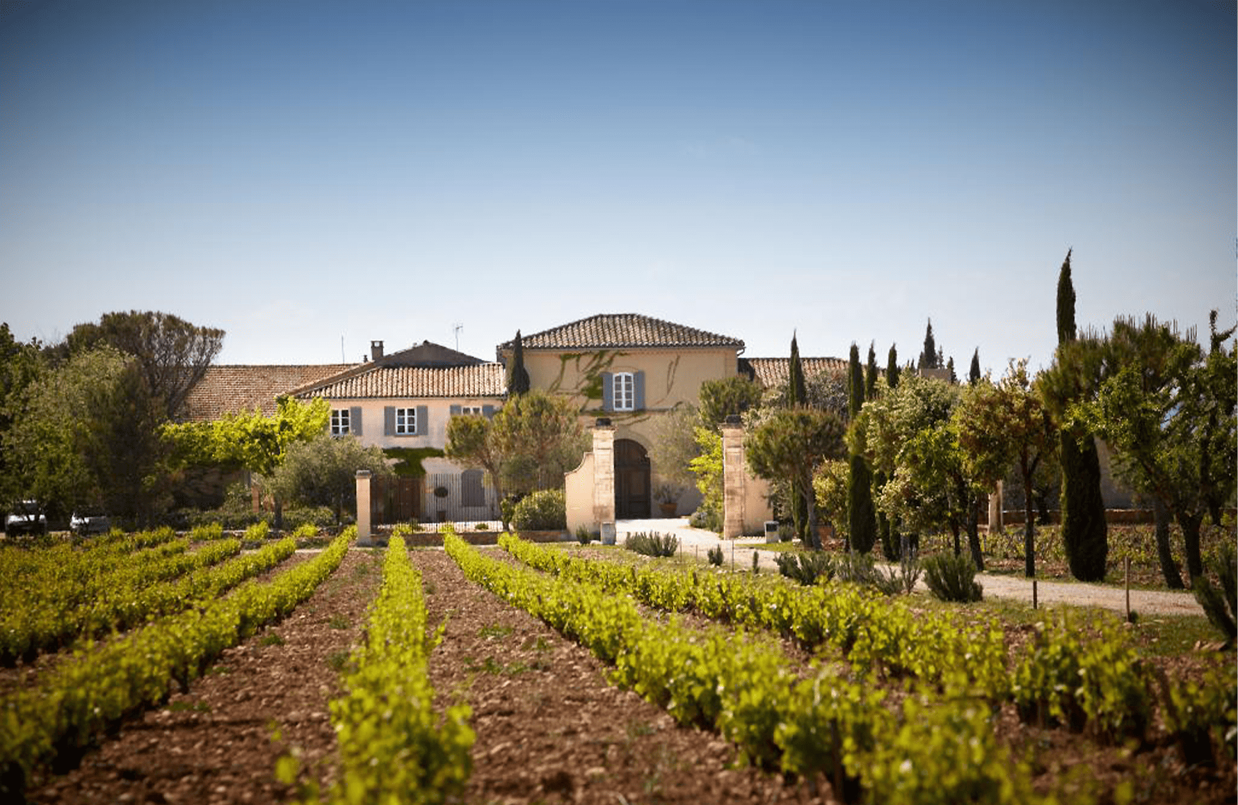 Wines Beaucastel Castle