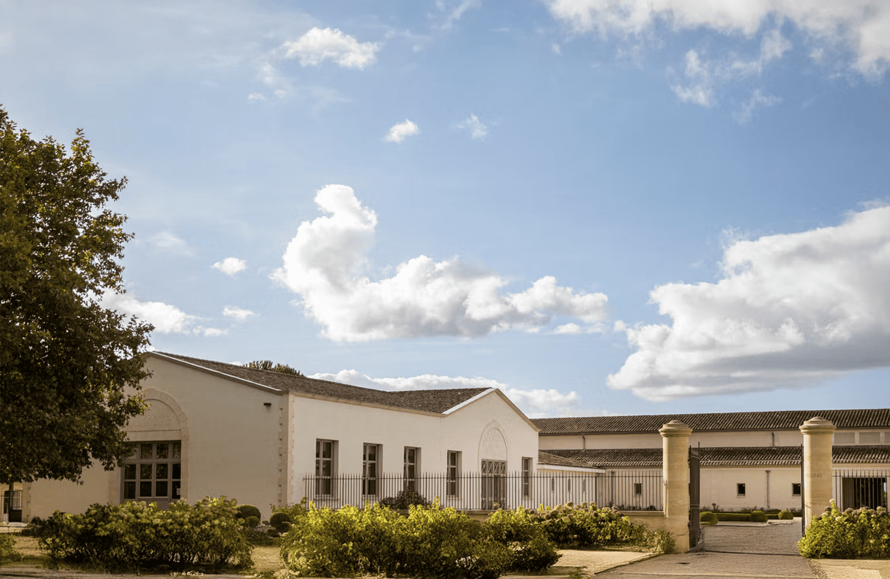 Weine Schloss Fieuzal