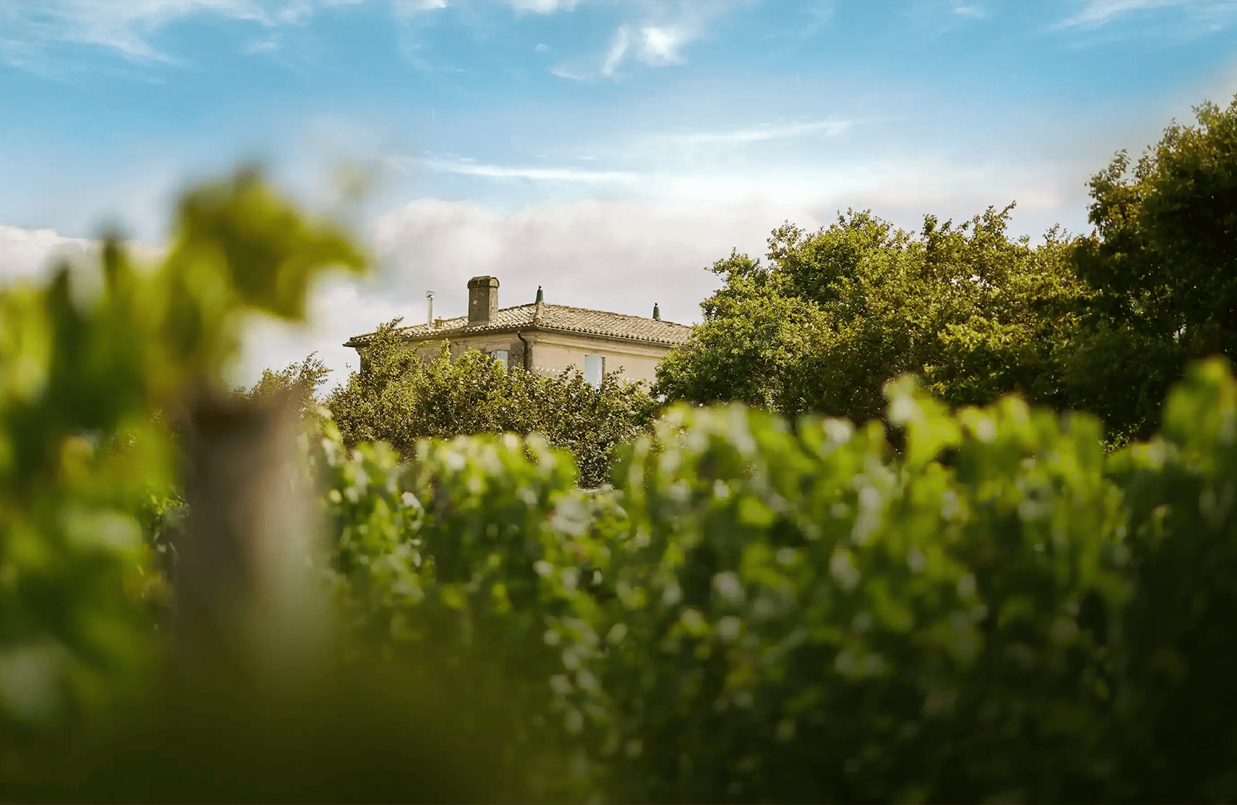 Vins Château de Fonbel