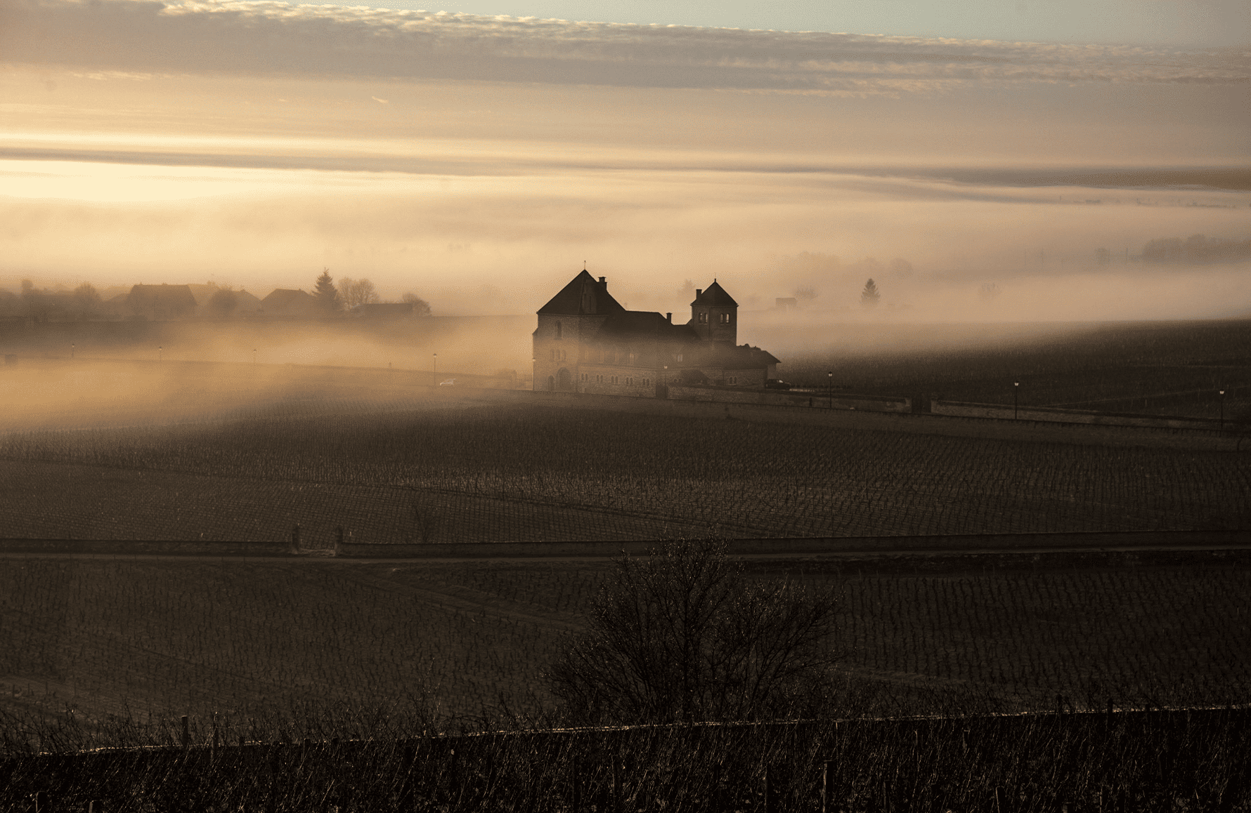 Vins Château De La Tour
