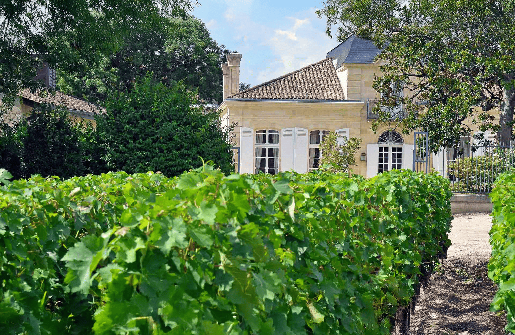 Vins Château Deyrem Valentin