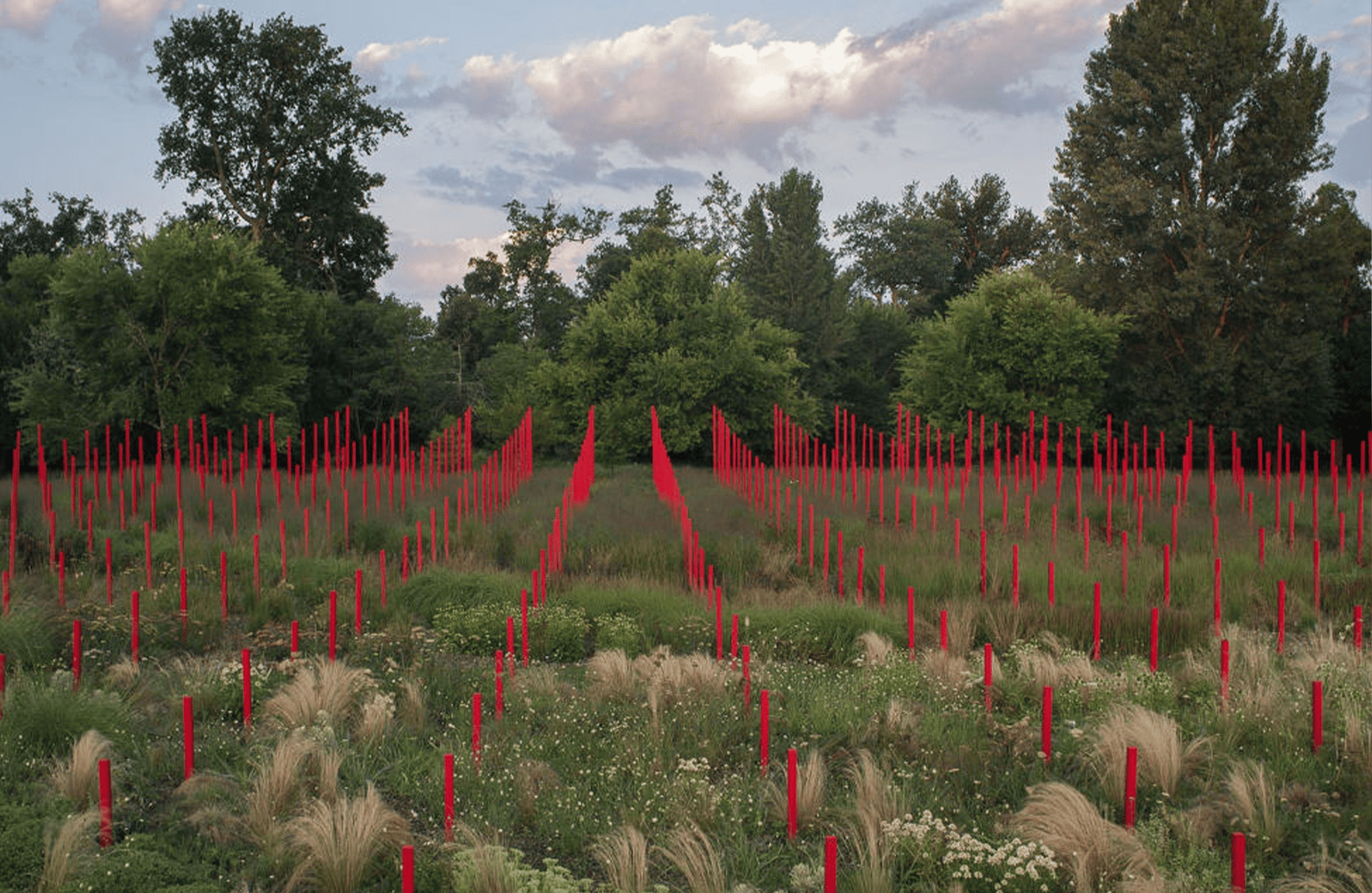 Vins Château Larrivet Haut-Brion