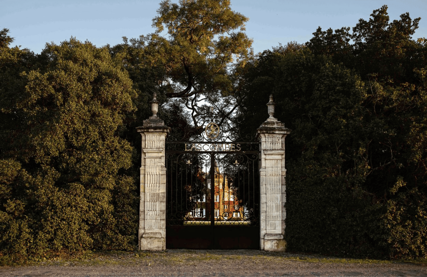 Vins Château Lascombes