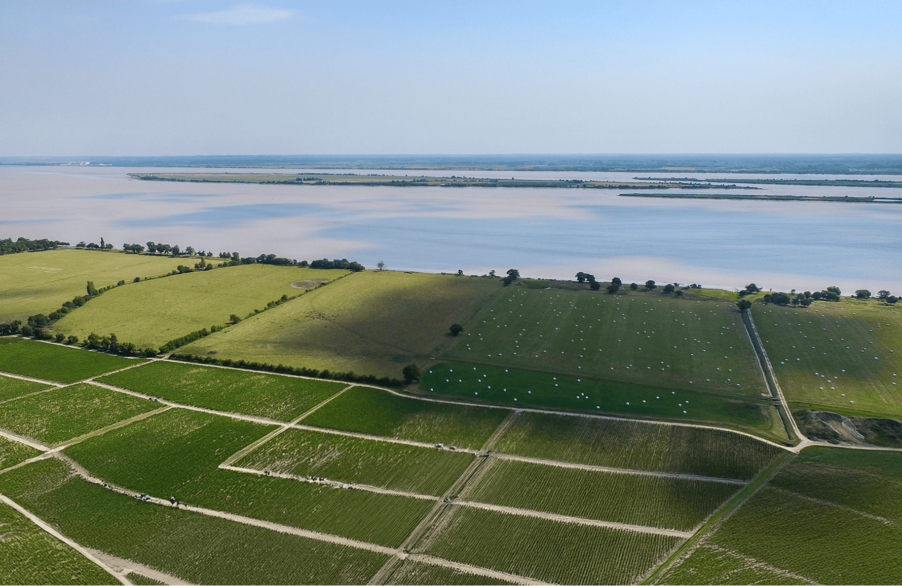 Weine Château Léoville Las Cases
