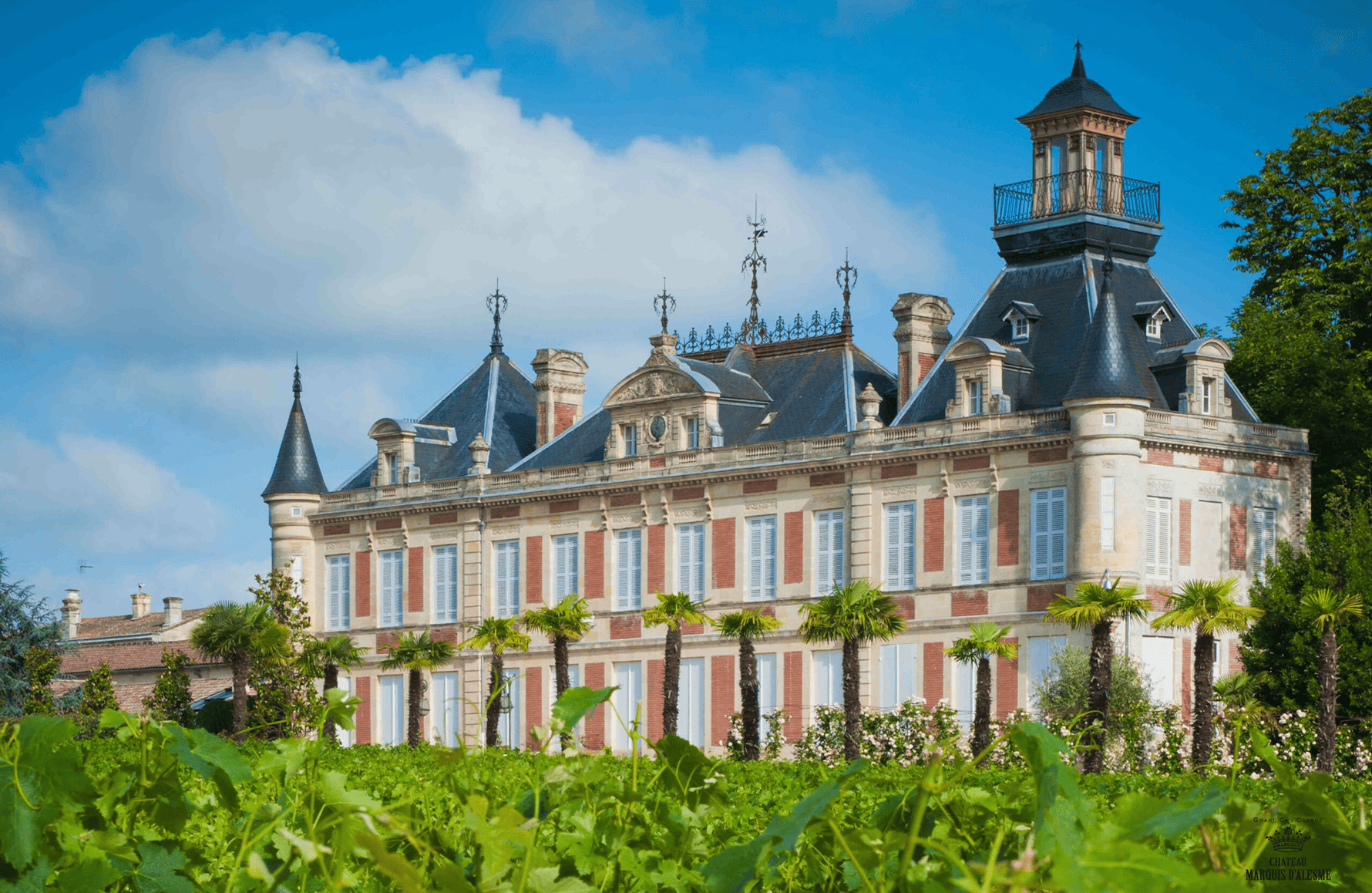 Wines Schloss Marquis d'Alesme