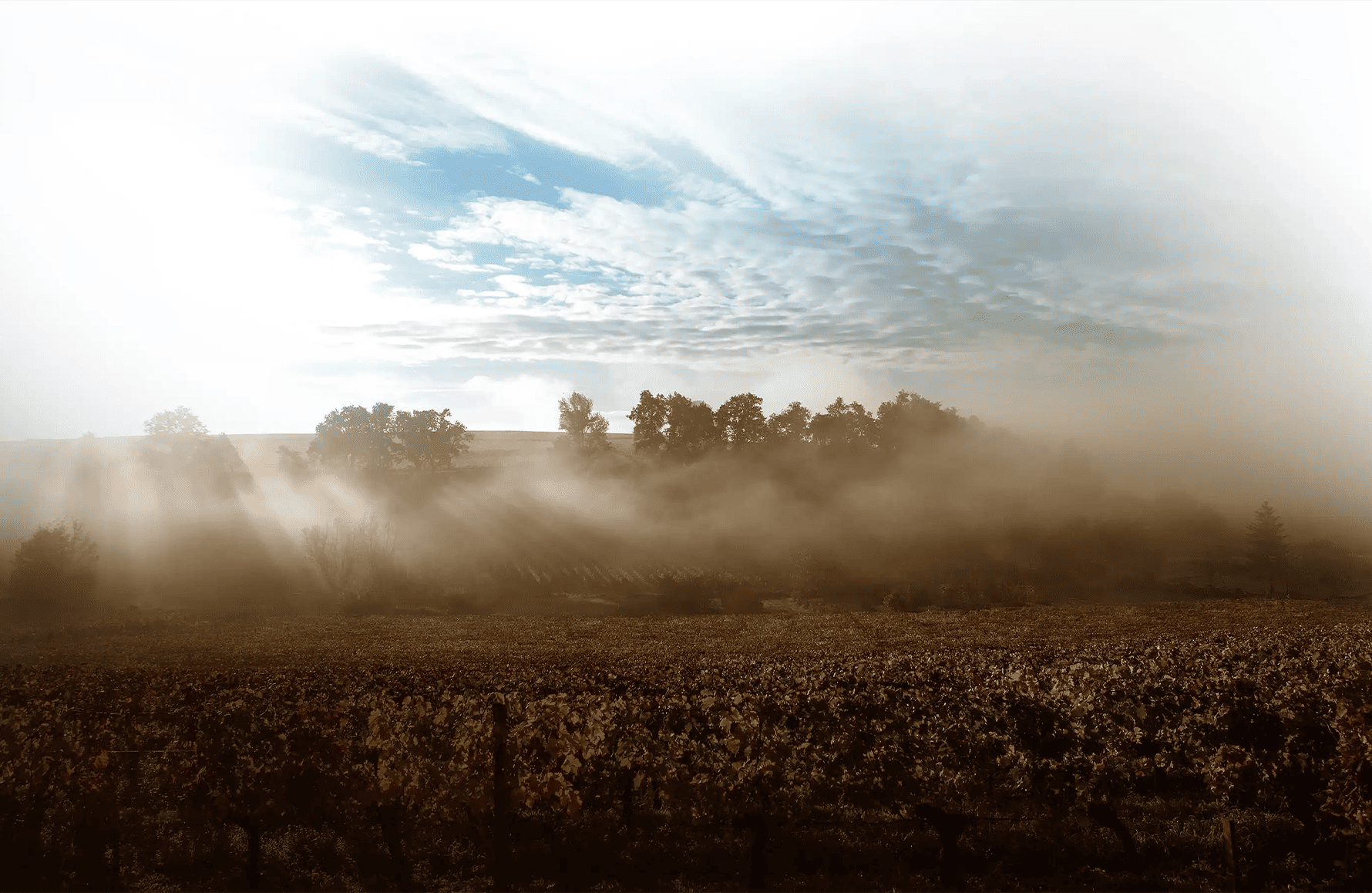 Weine Mühlenschloss Saint-Georges