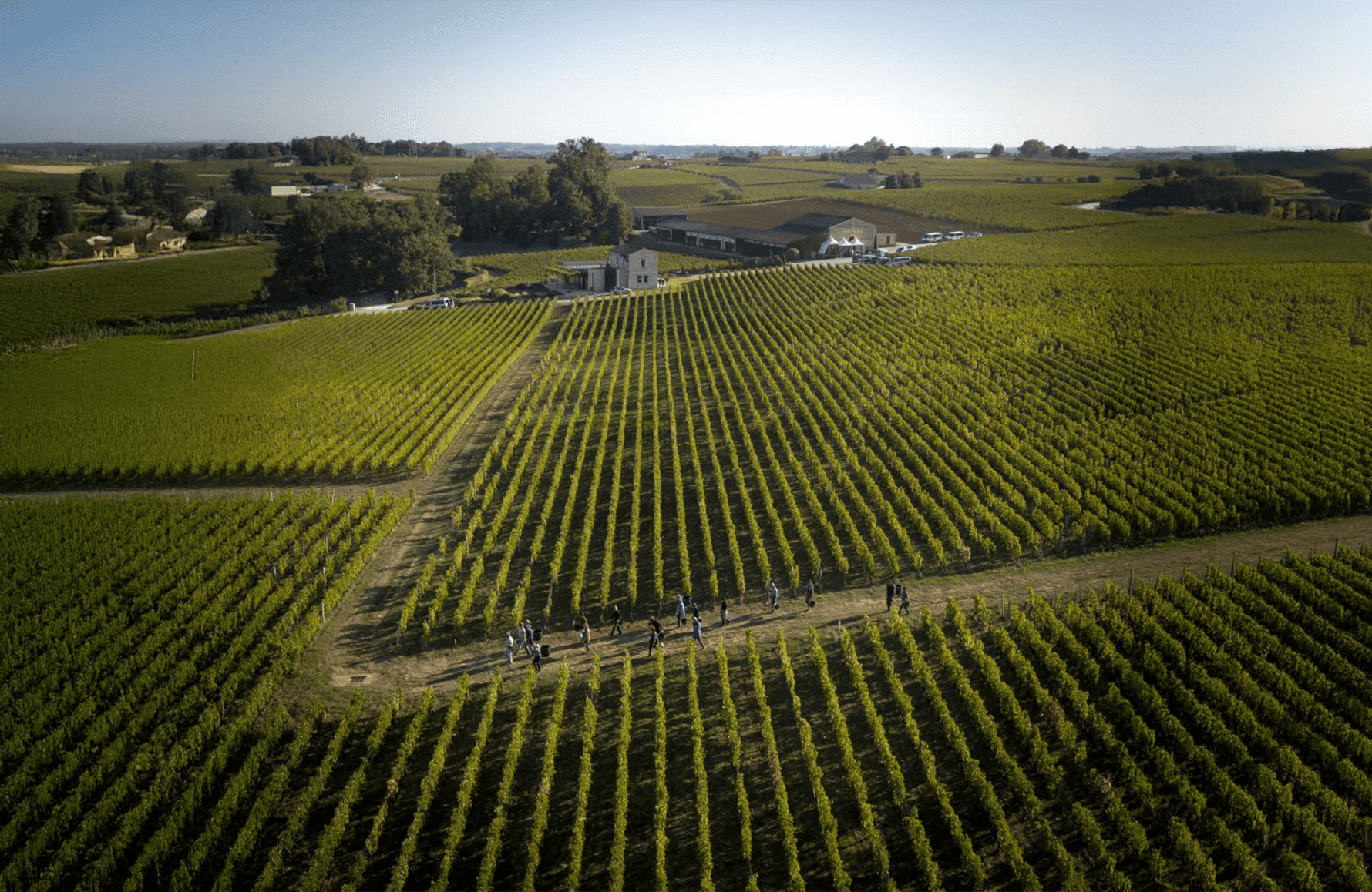 Vins Château Pavie Macquin