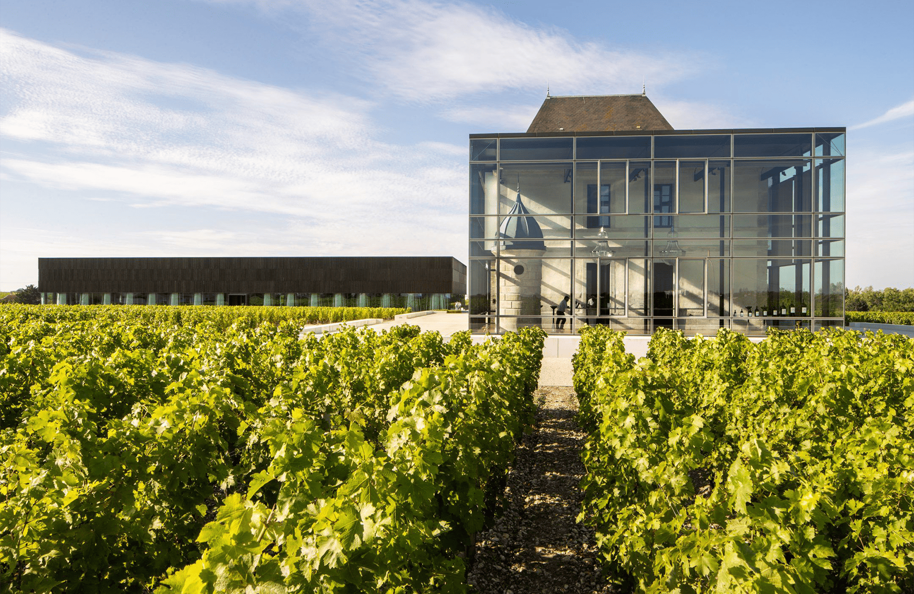 Weine Schloss Pedesclaux