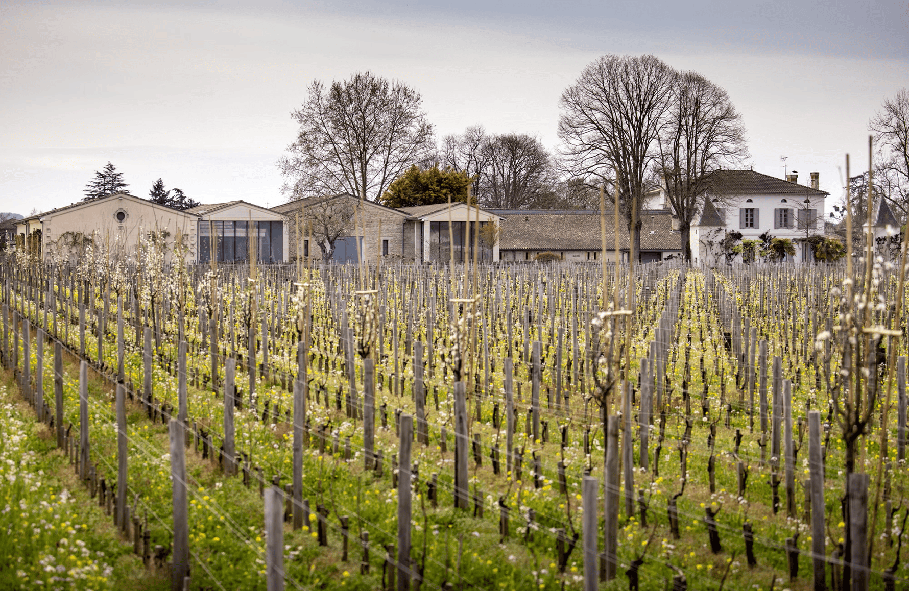 Weine Château Quinault L'Enclos