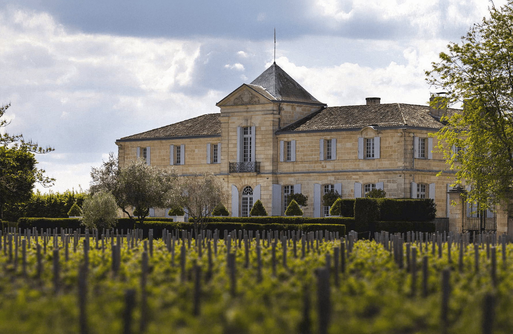 Vins Château du Tertre