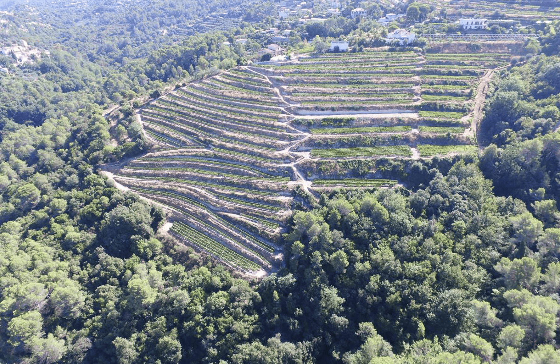 Weine Clos Saint Vincent