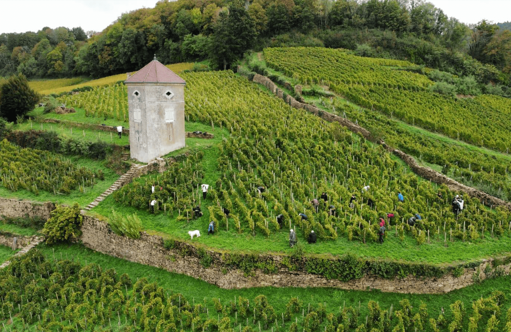 the story of André und Mireille Tissot Estate