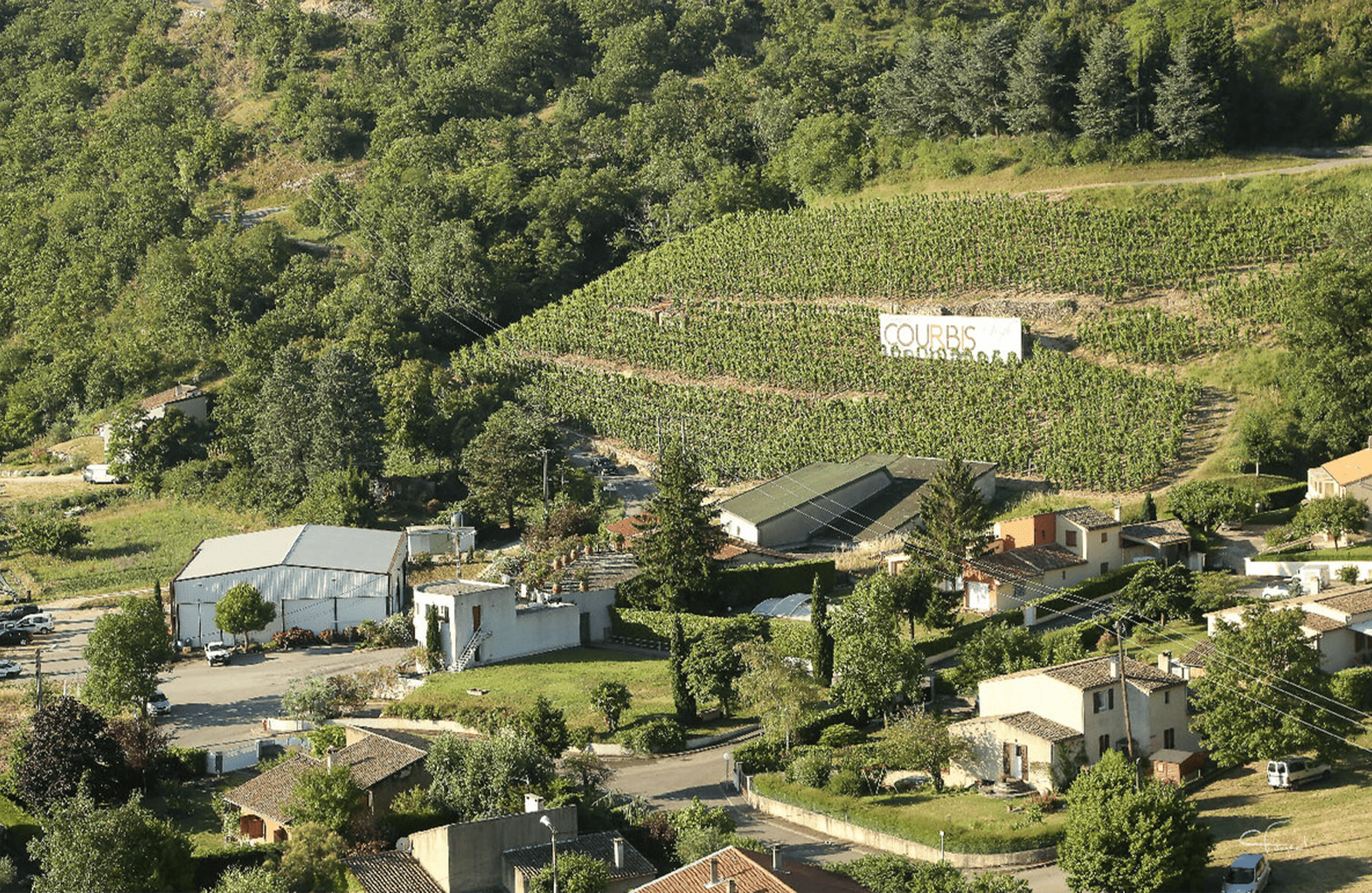 Vins Domaine Courbis