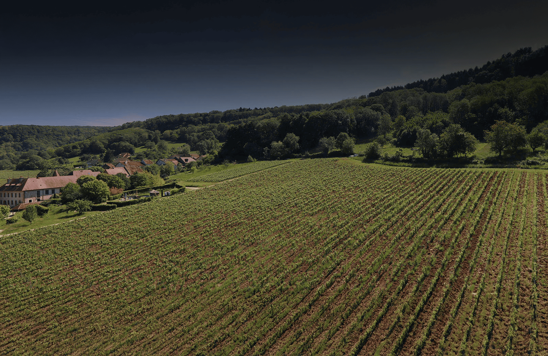 Weine Pelikan-Anwesen