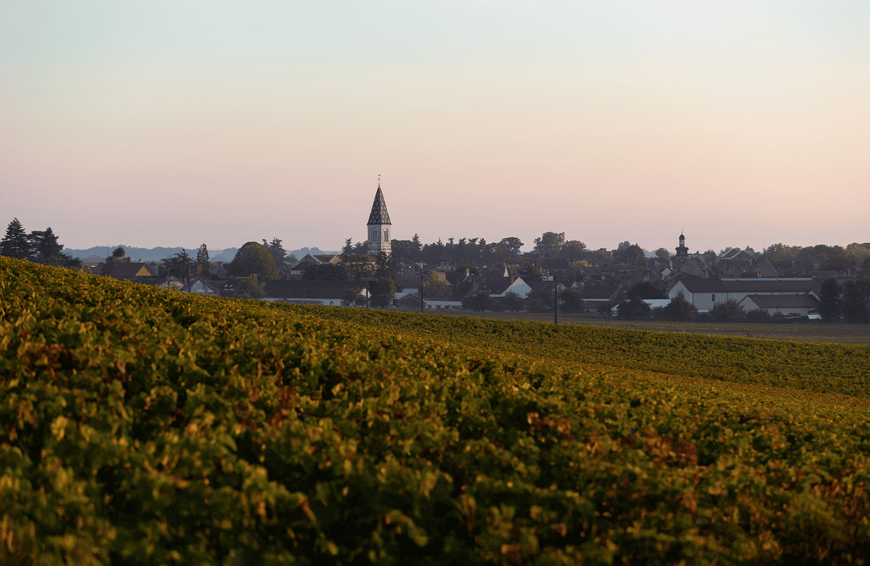 Weine Henri Gouges Estate