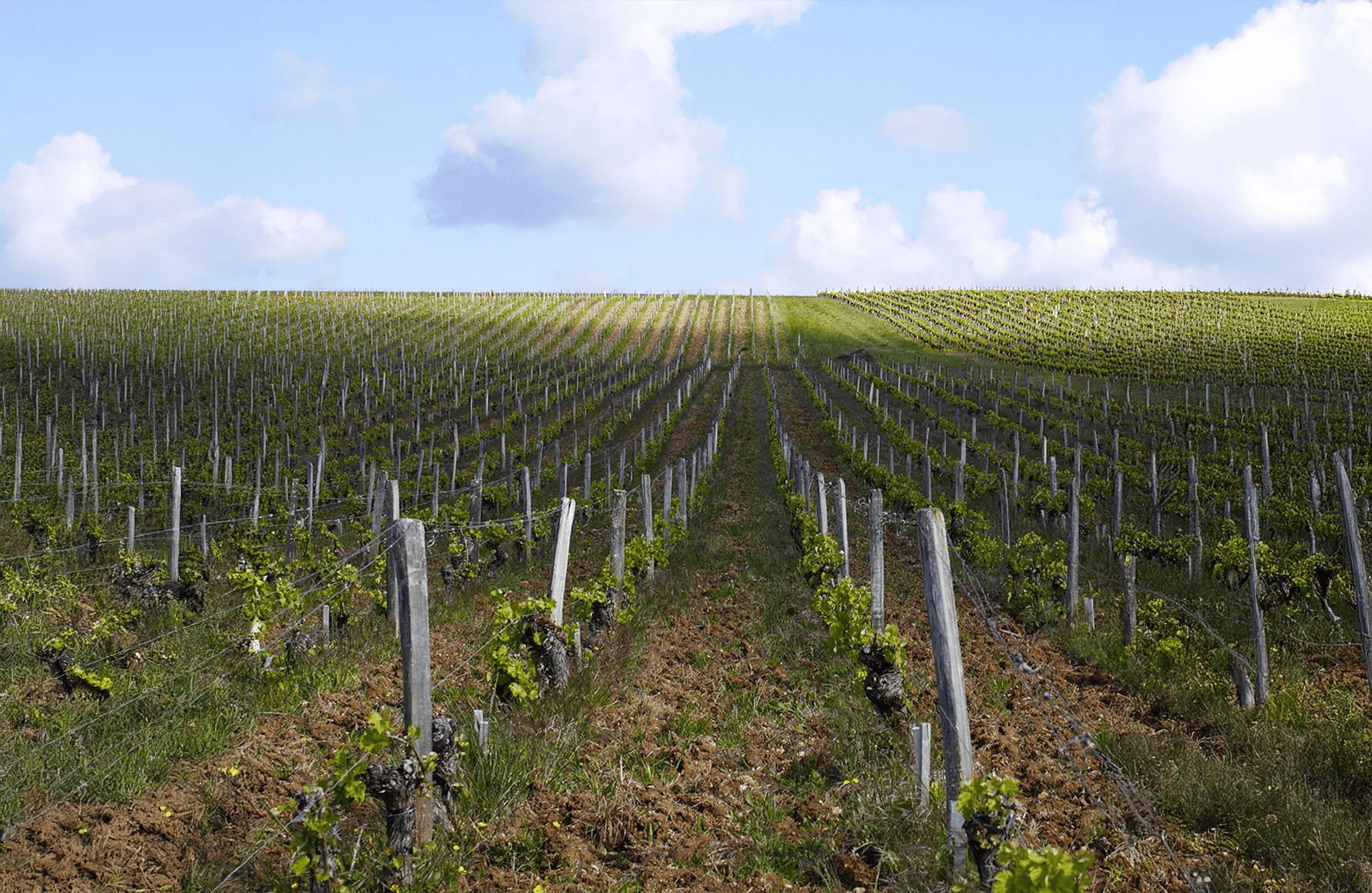 Weine Philippe Gilbert Estate