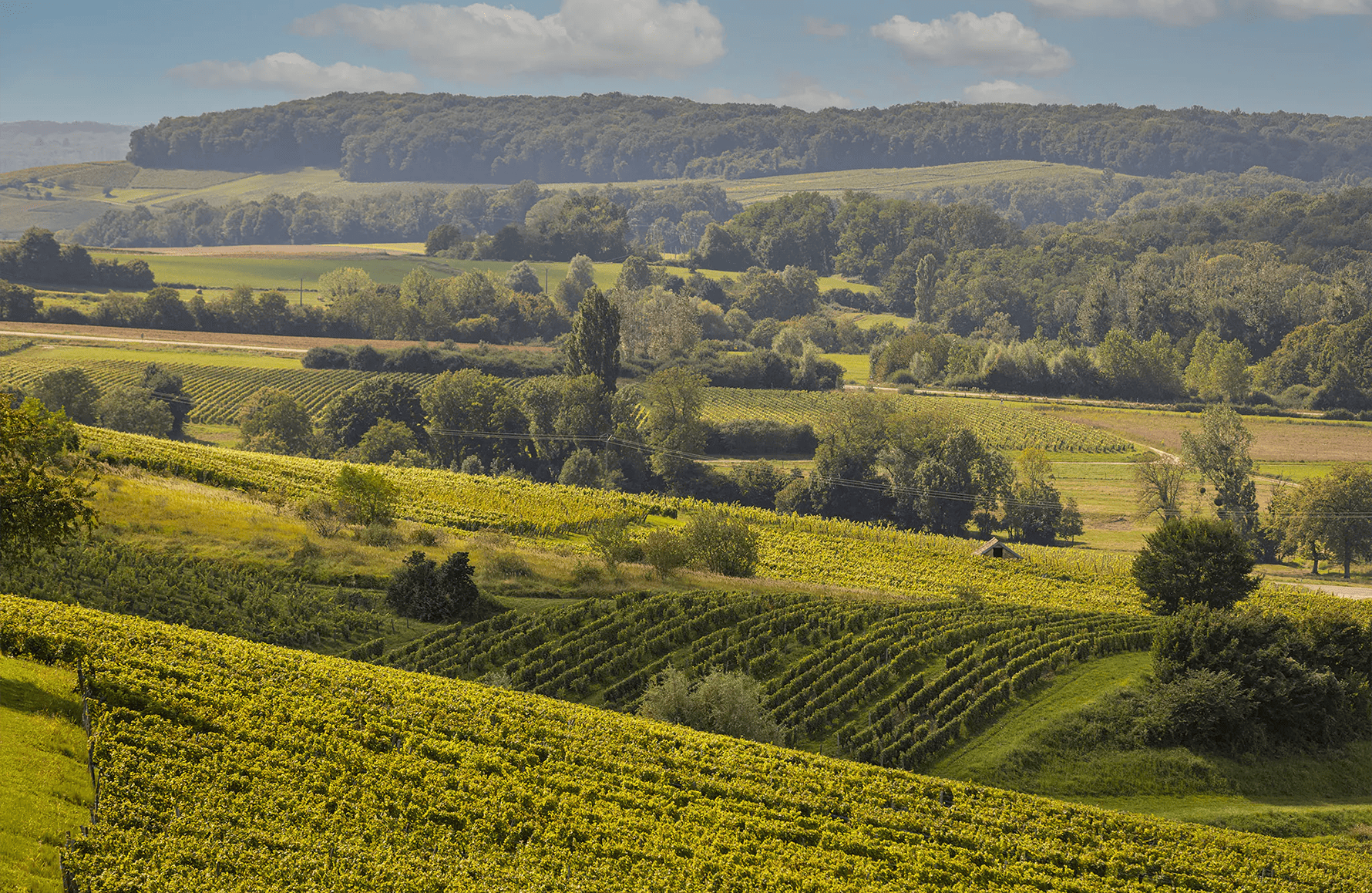 die Geschichte der Rolet Estate