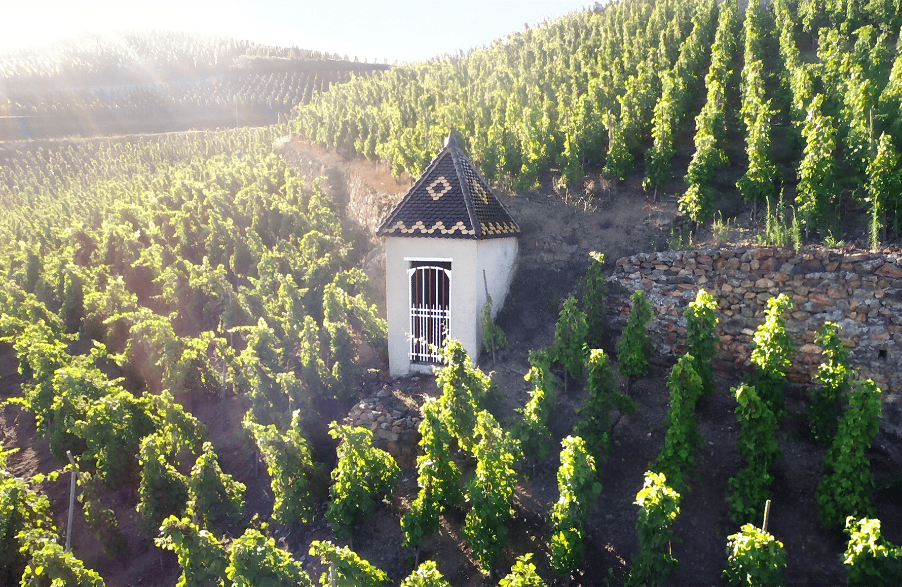 l’histoire du Domaine Rostaing