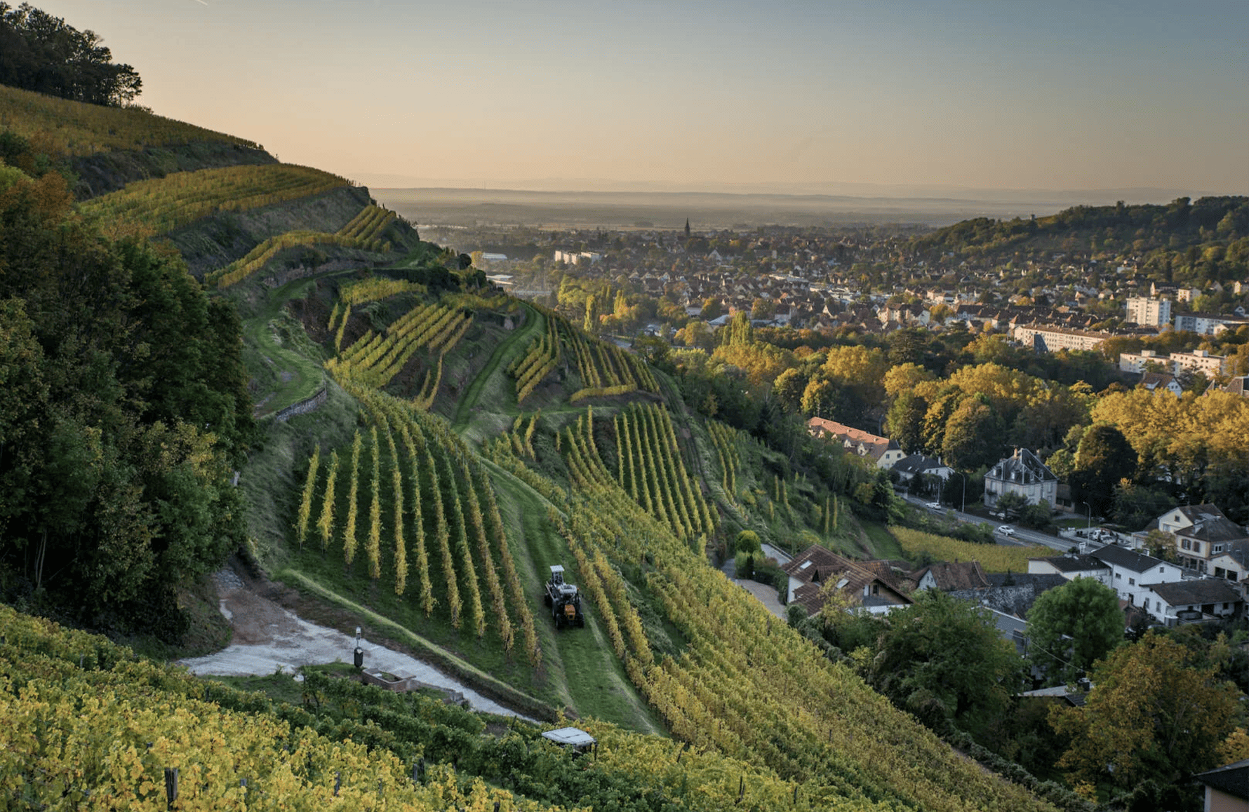 Weine Schlumberger Estate