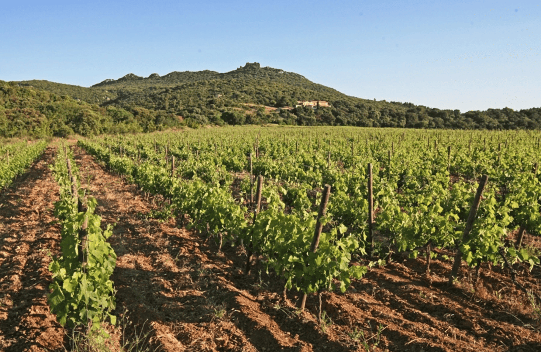 die Geschichte der Einsiedelei von Pic Saint Loup