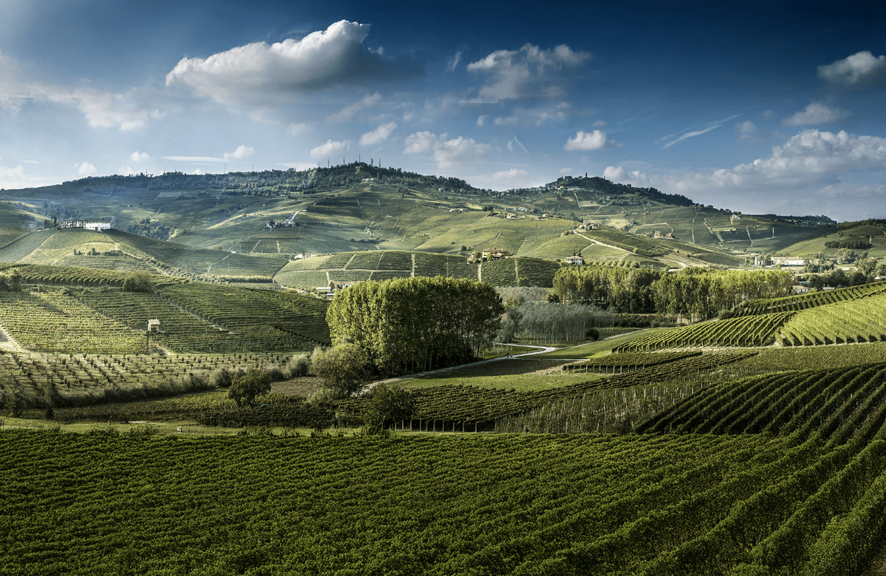 die Geschichte der Luciano Sandrone - Italien