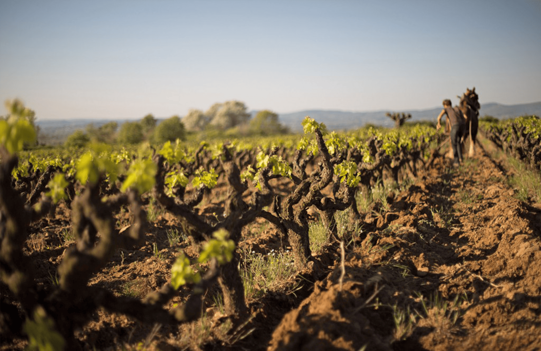 l’histoire du Mas de Libian