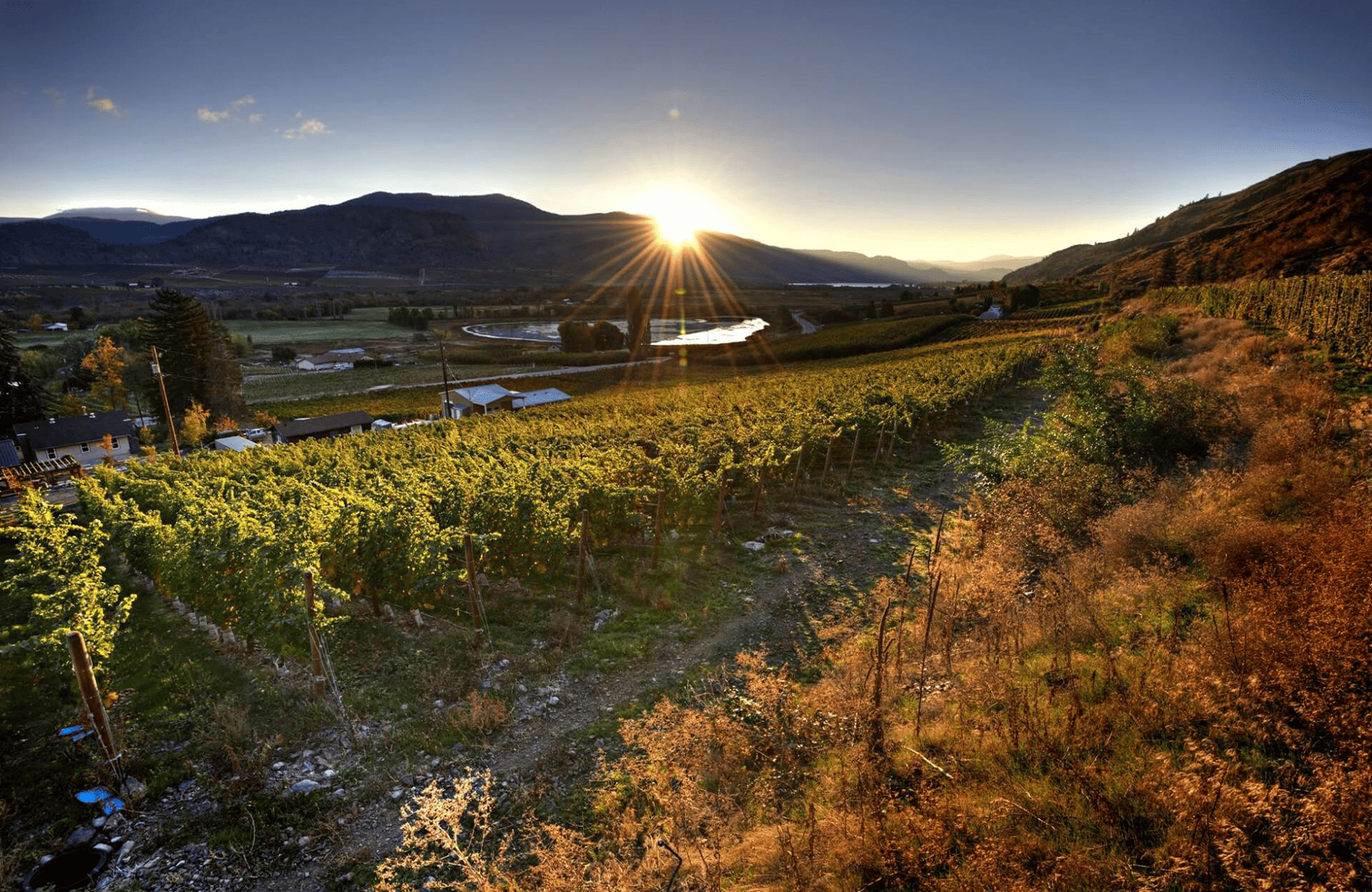 Weine Maverick Wines – Australien