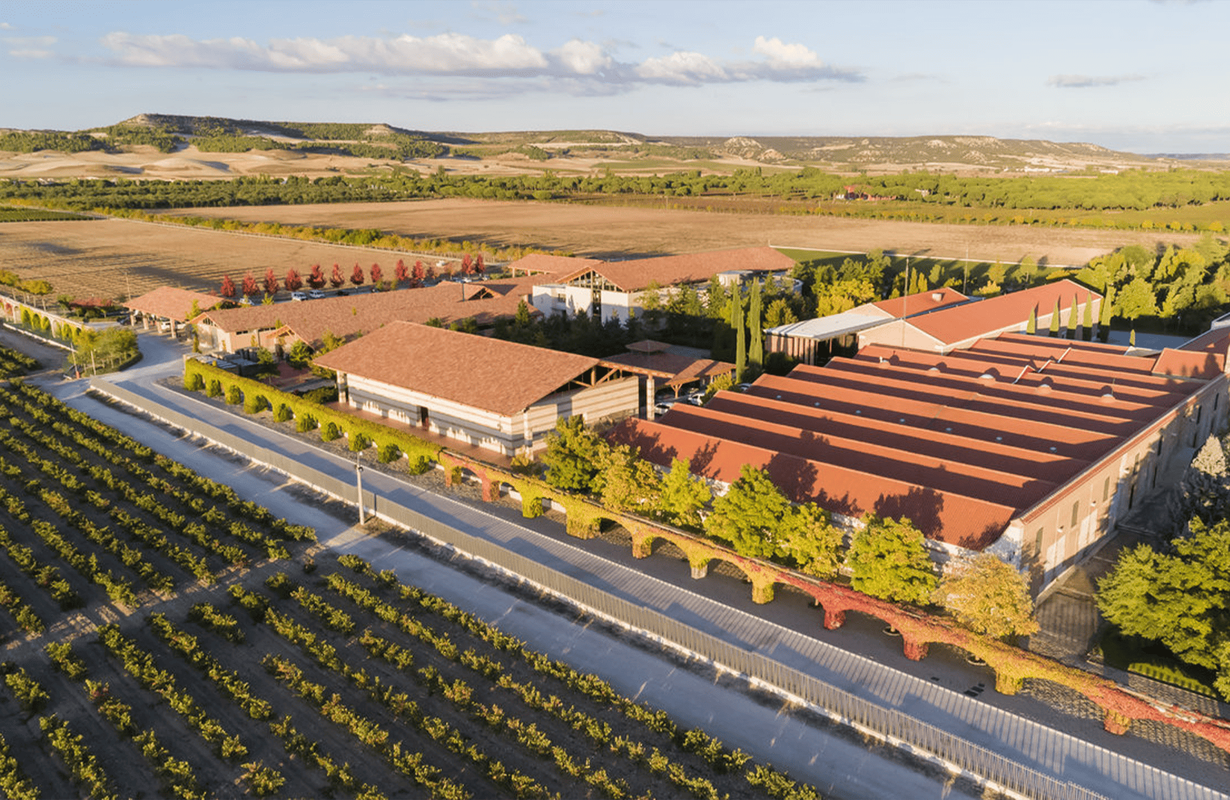 Weine Vega Sicilia - Spanien