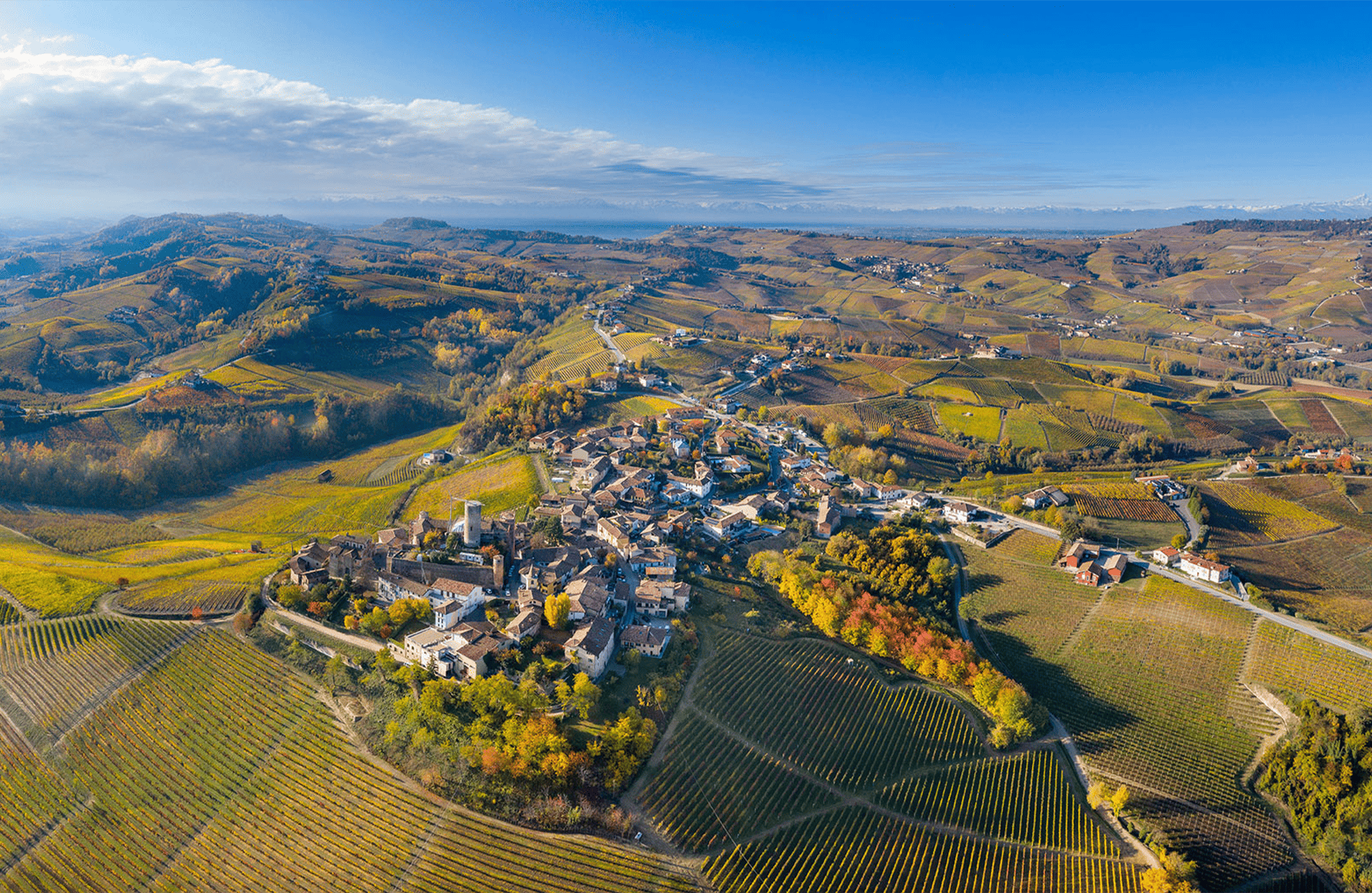 die Geschichte der Vietti - Italien