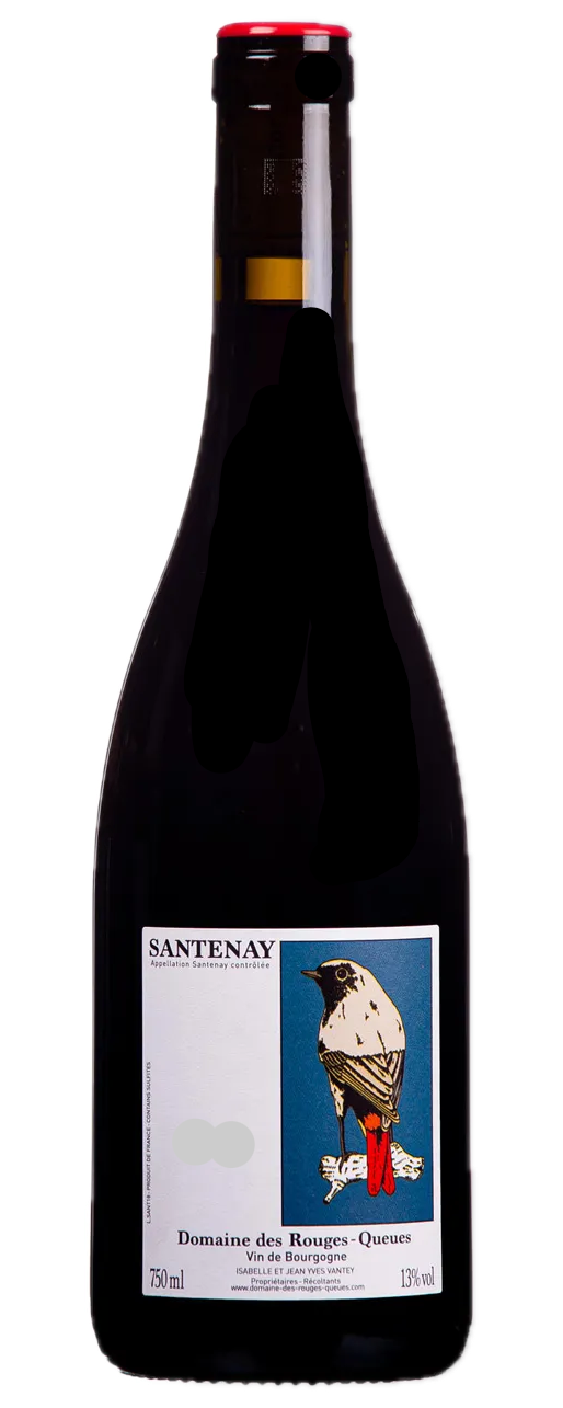 Domaine des Rouges Queues - Santenay Les Saunieres 2021