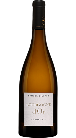 Domaine Samuel Billaud - Bourgogne d'Or 2022 - Bourgogne Blanc